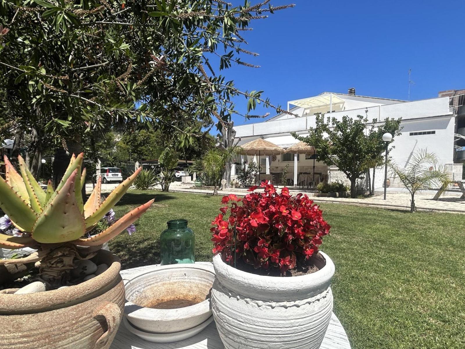 Villa Soleanna Residence Vieste Exterior foto