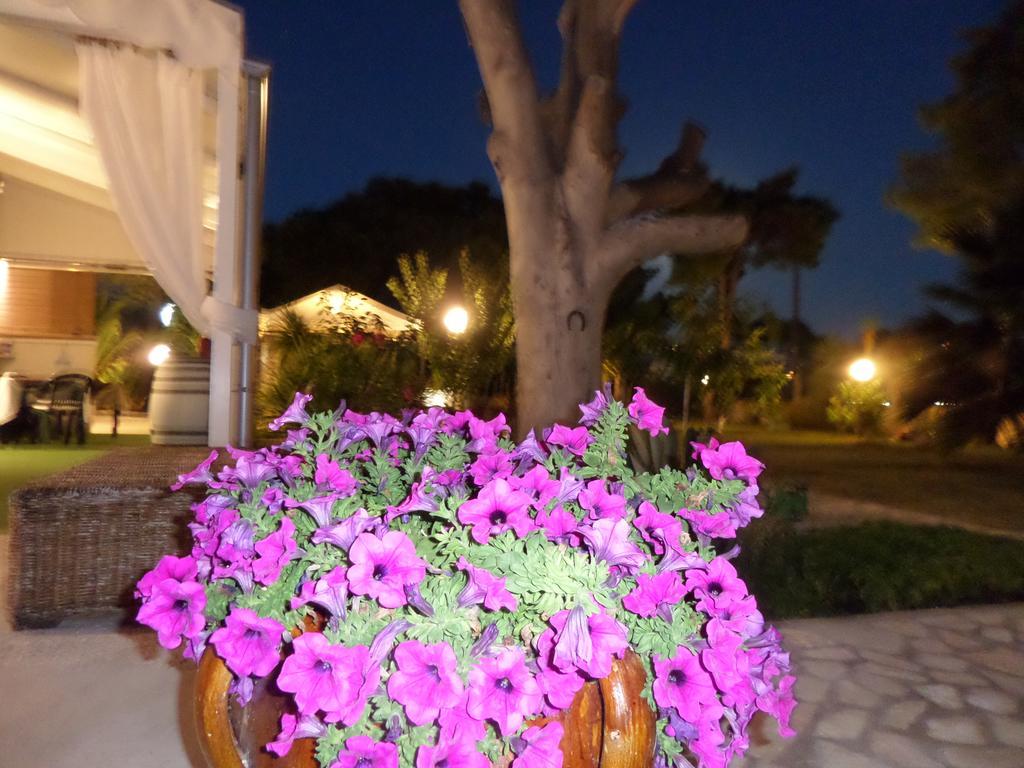Villa Soleanna Residence Vieste Exterior foto